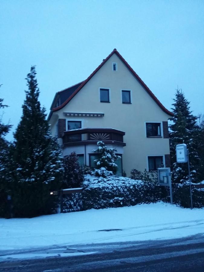 Appartement An Den Linden 31 à Leipzig Extérieur photo